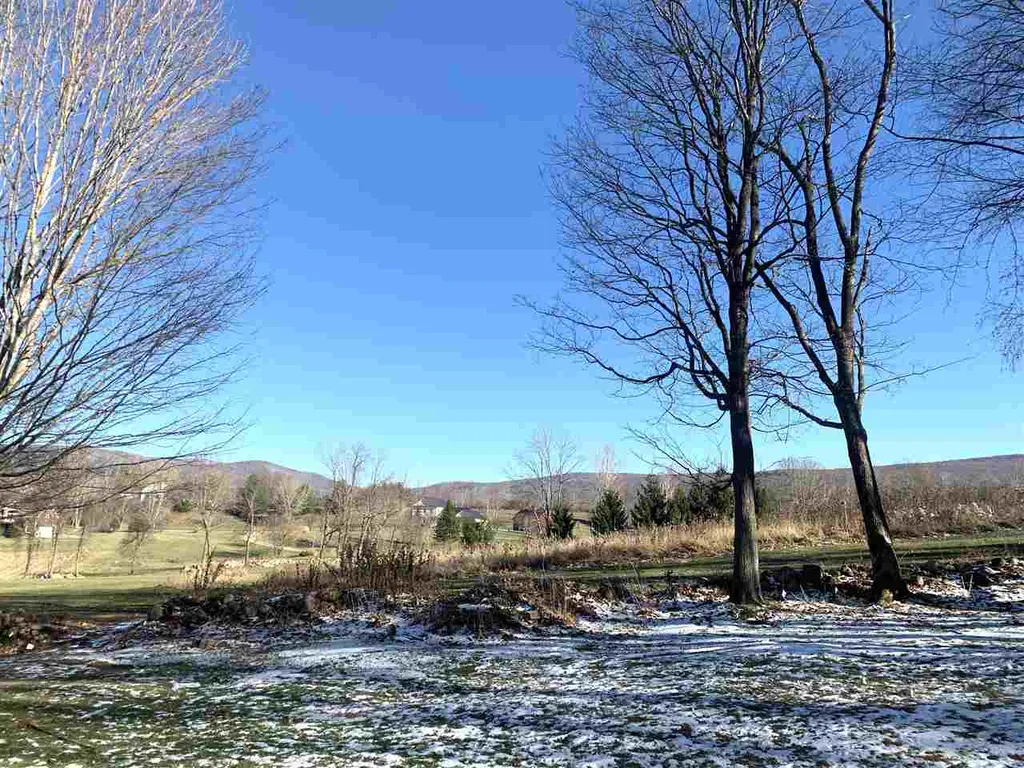 131 North Ridge Run Road Manchester VT 05255