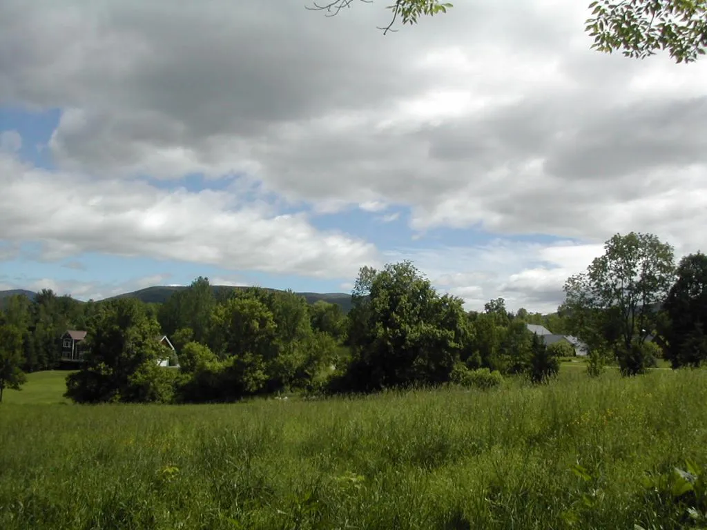 131 North Ridge Run Road Manchester VT 05255