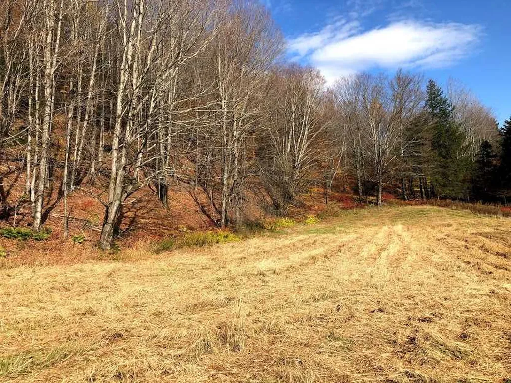 406 Shepard Hill Road Warren VT 05674