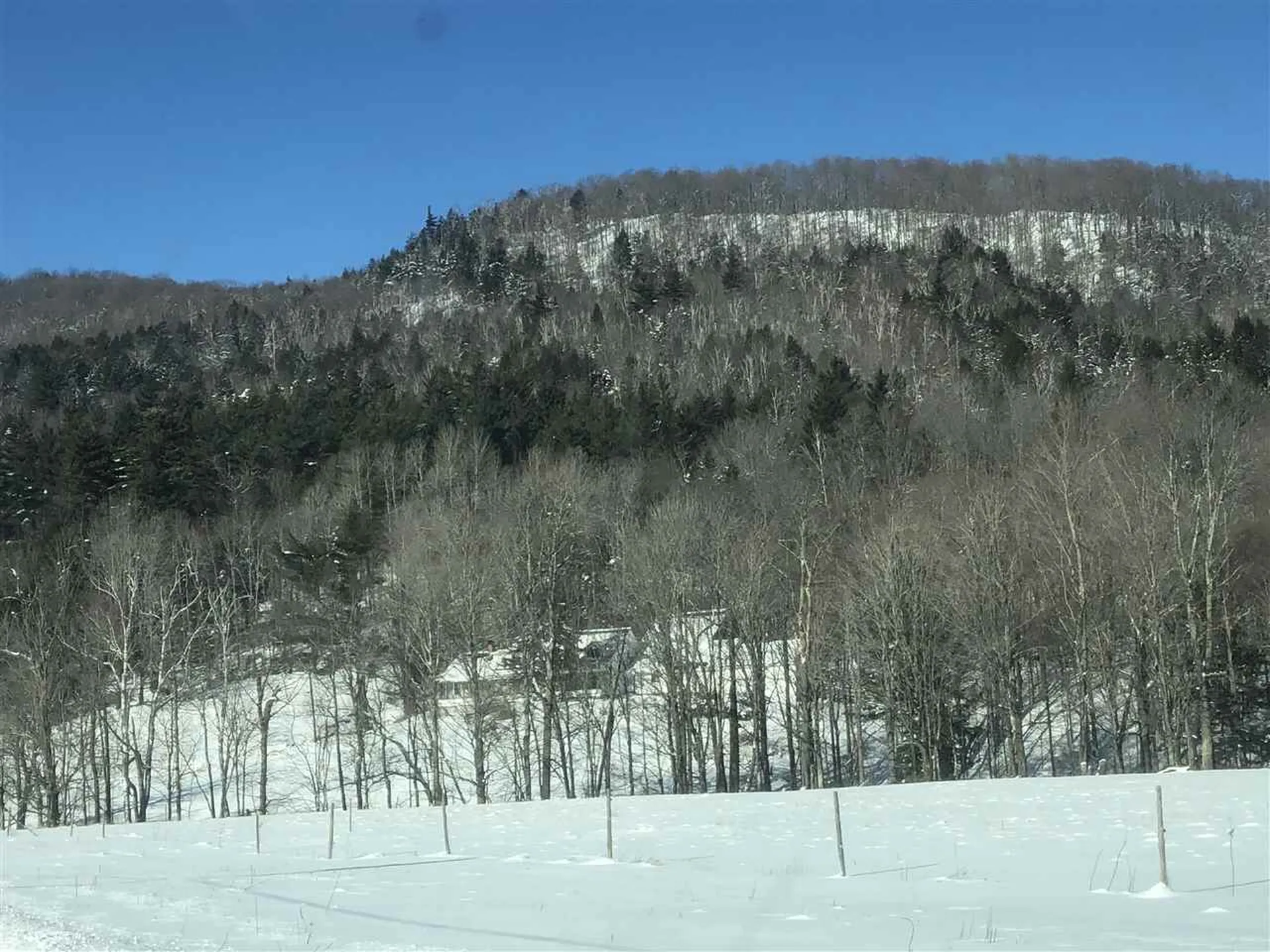 406 Shepard Hill Road Warren VT 05674