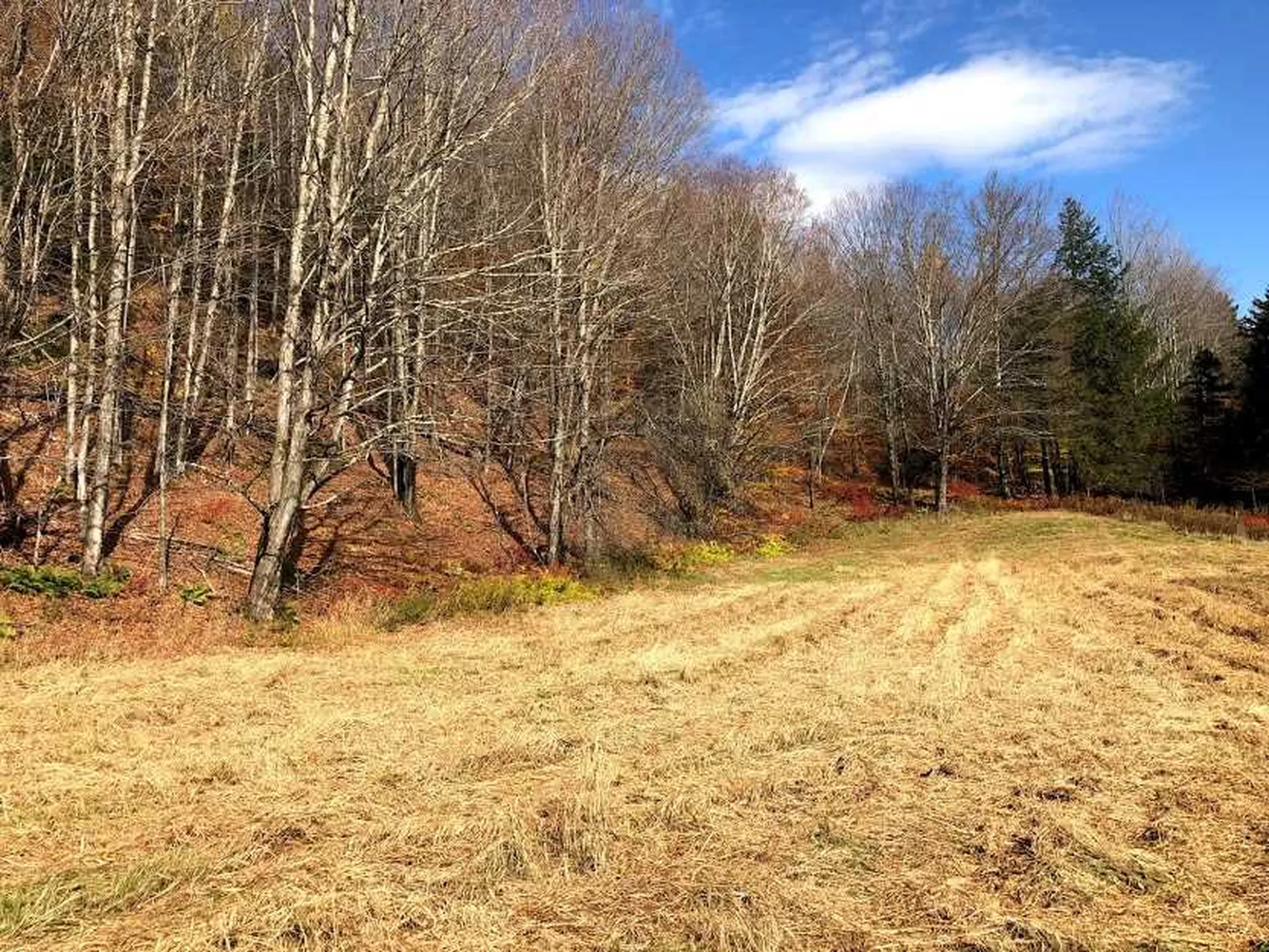 406 Shepard Hill Road Warren VT 05674