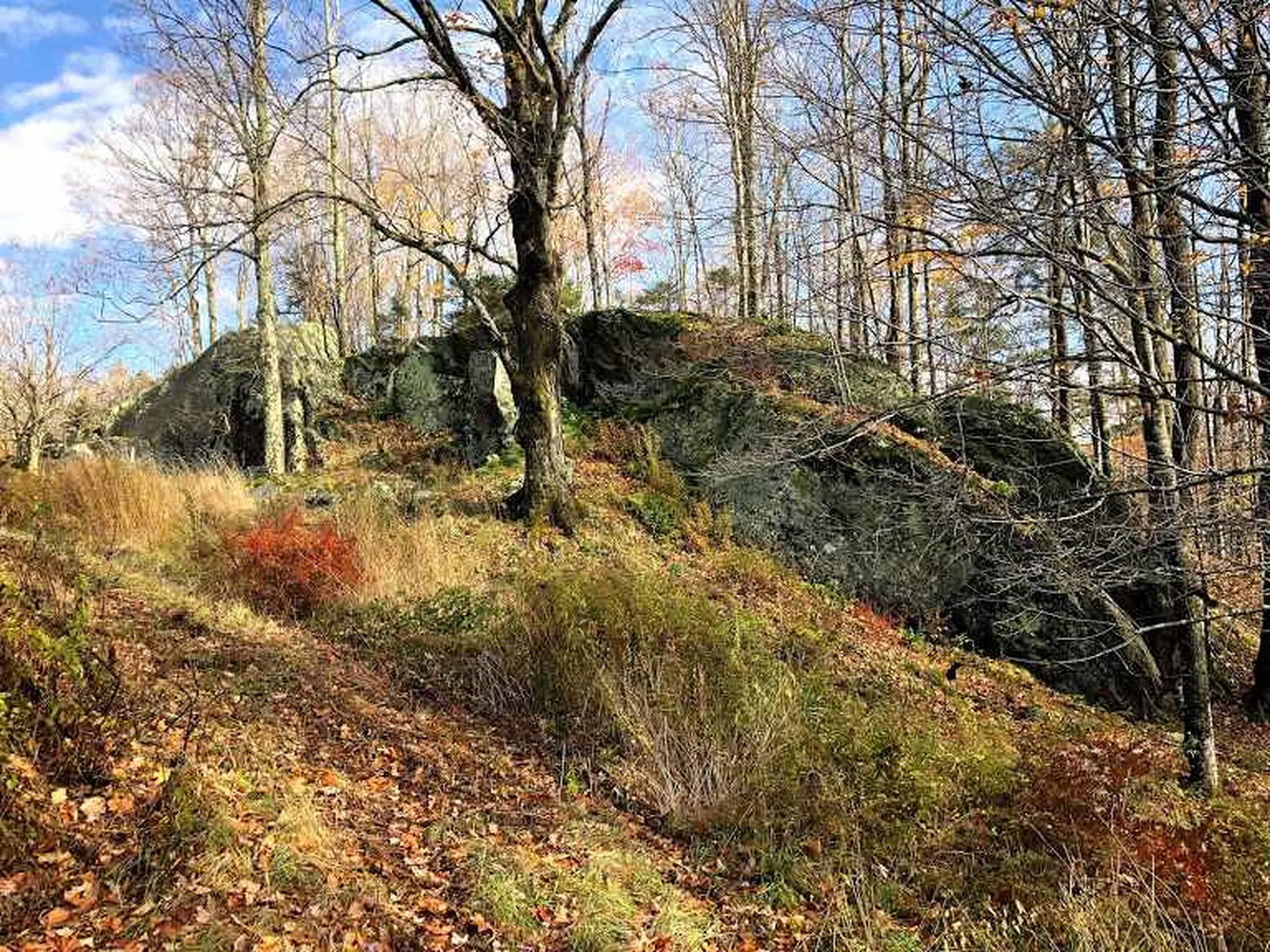 406 Shepard Hill Road Warren VT 05674