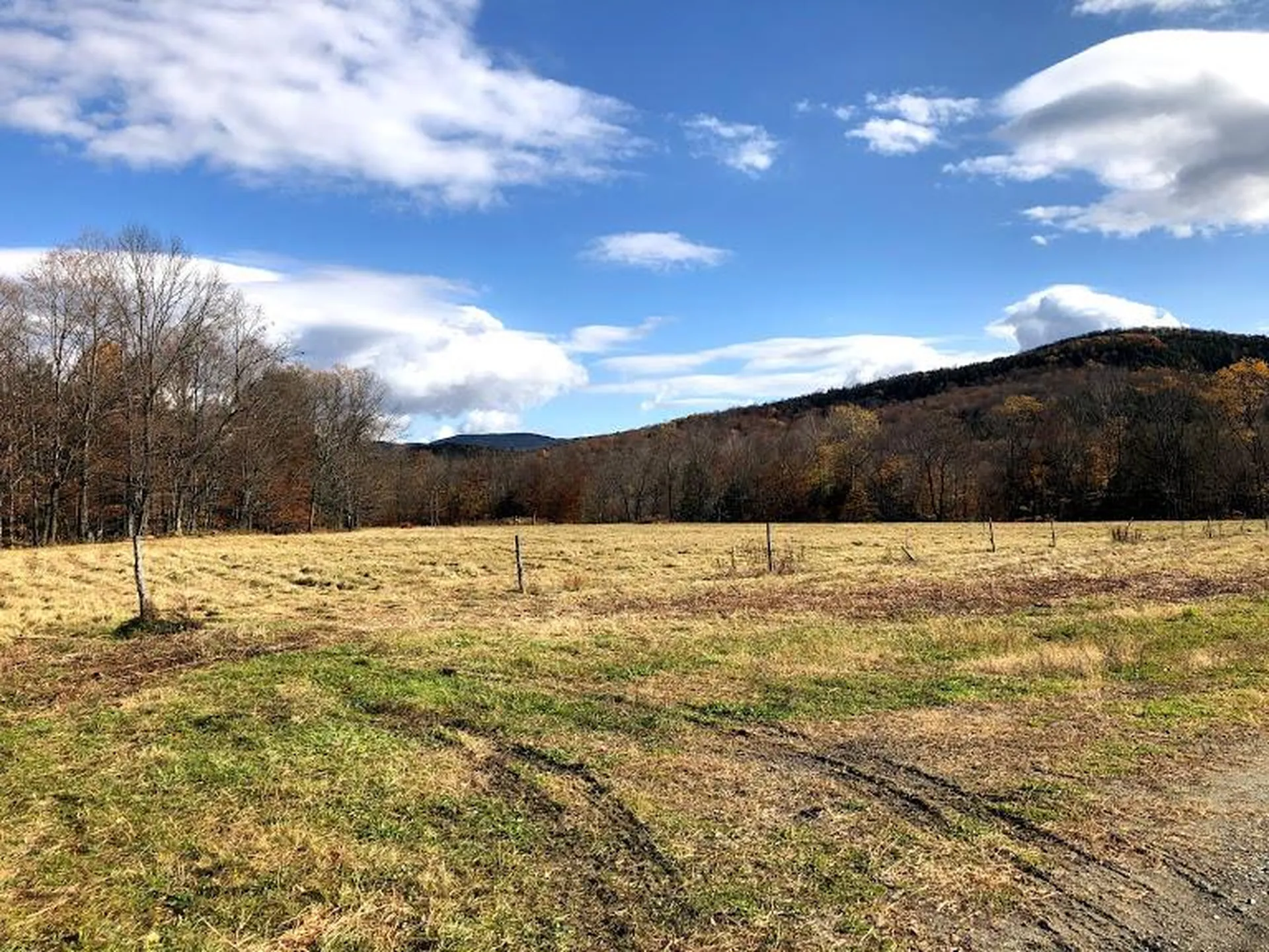 406 Shepard Hill Road Warren VT 05674