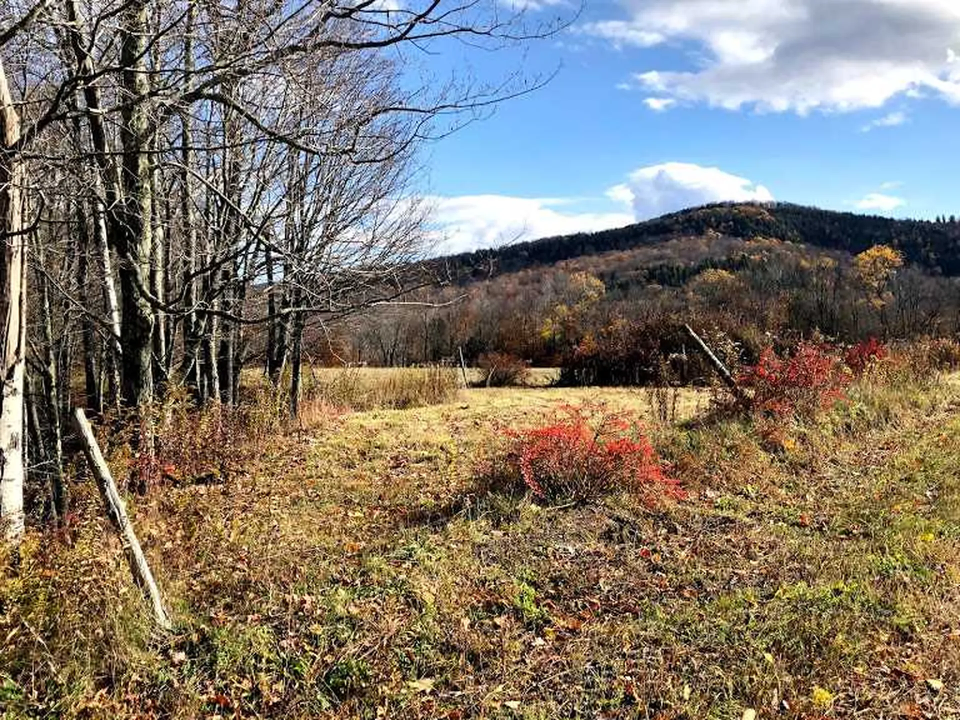 406 Shepard Hill Road Warren VT 05674