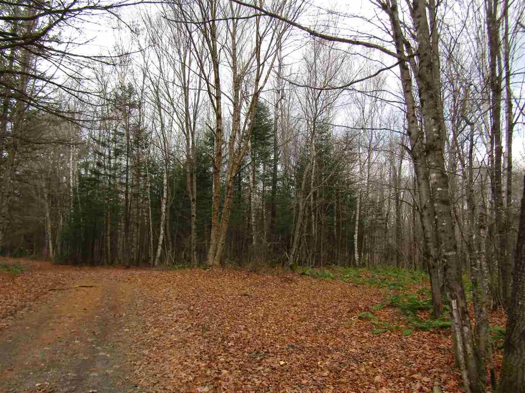 31-1 Moose Trail Road Clarksville NH 03592