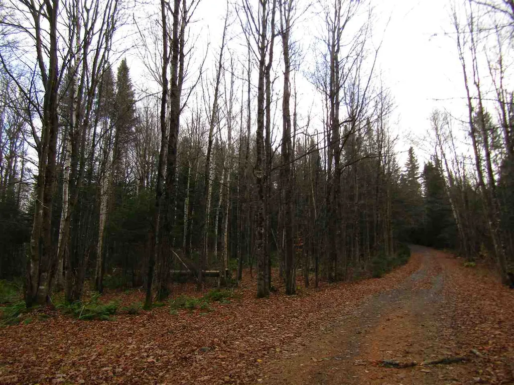 31-1 Moose Trail Road Clarksville NH 03592