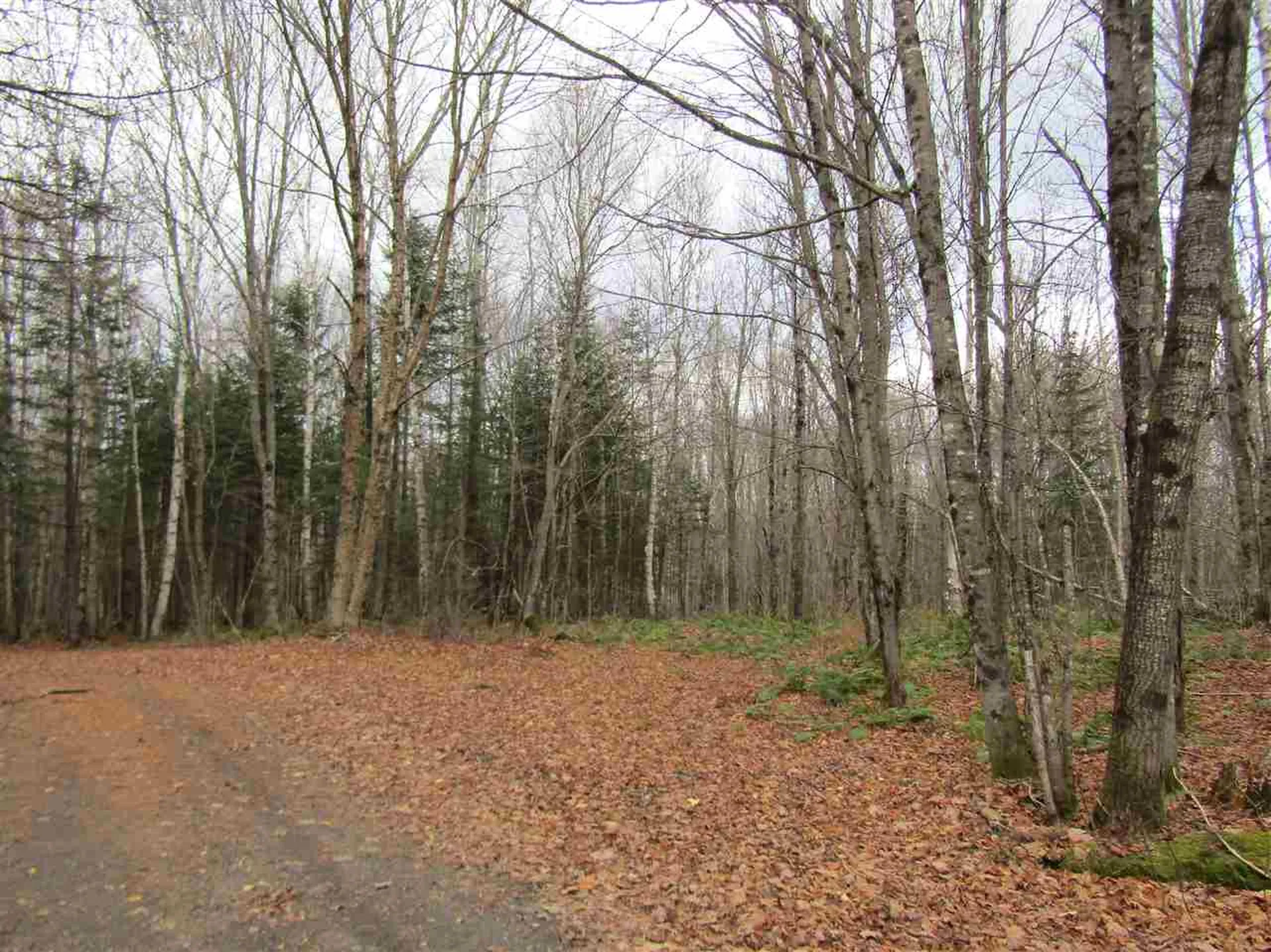 31-1 Moose Trail Road Clarksville NH 03592