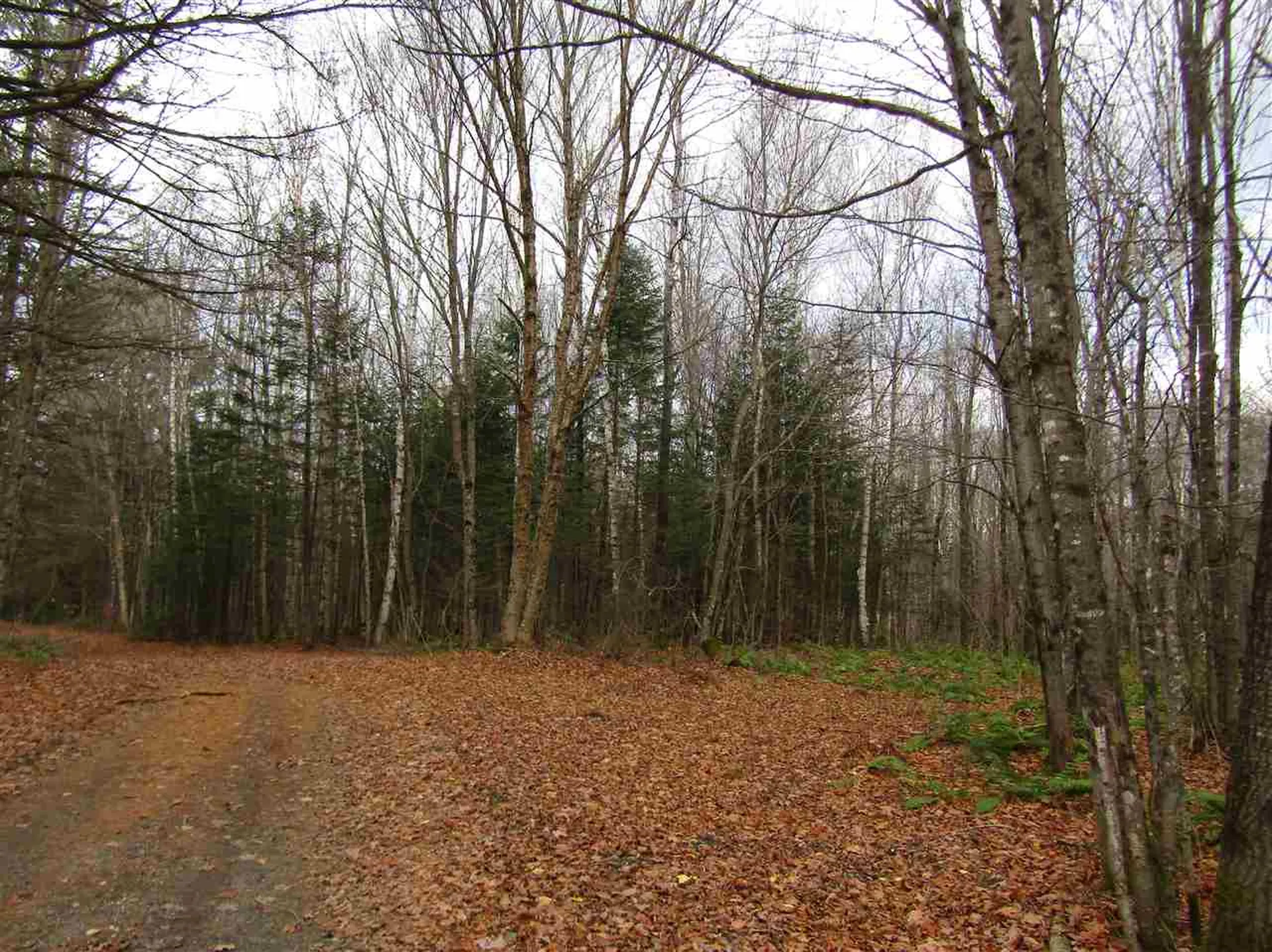 31-1 Moose Trail Road Clarksville NH 03592