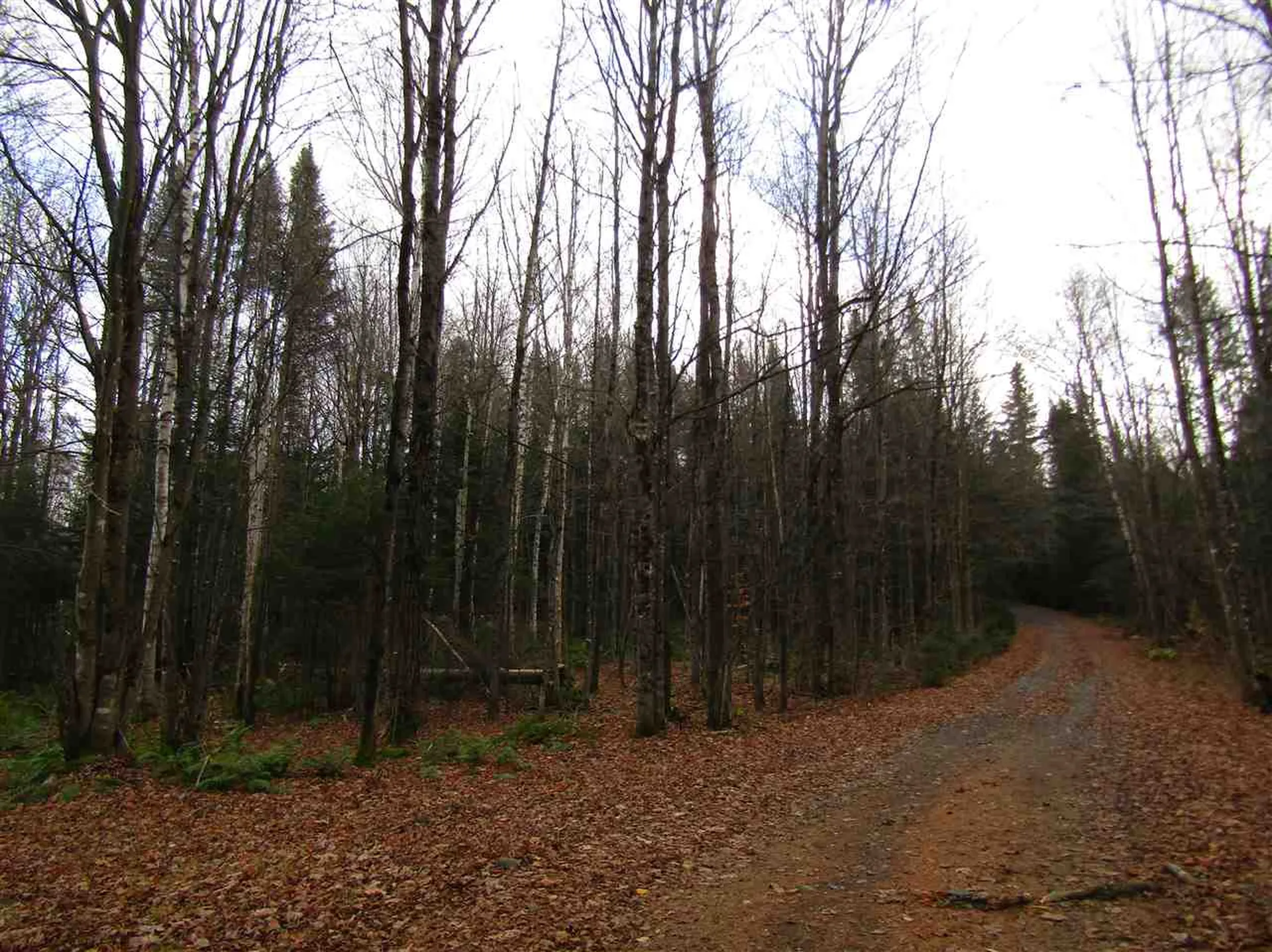 31-1 Moose Trail Road Clarksville NH 03592
