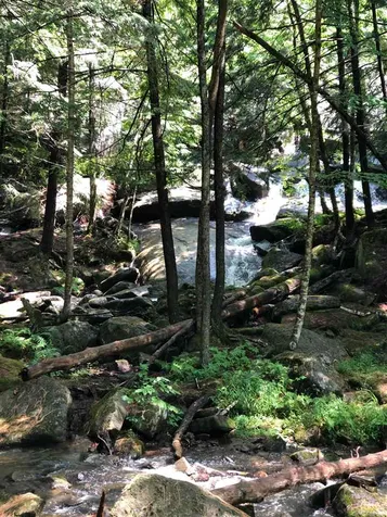 139 Pageant Park Road Barton VT 05822