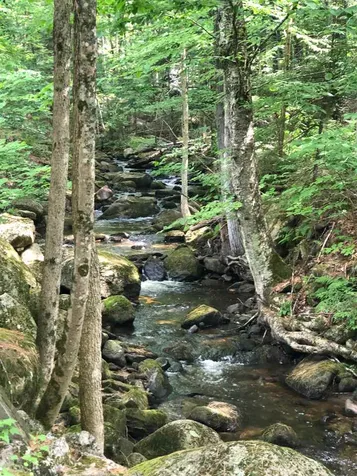 139 Pageant Park Road Barton VT 05822