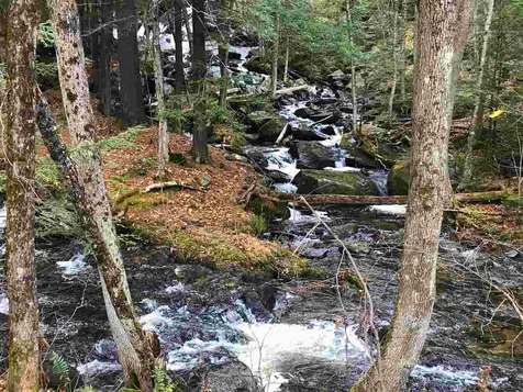 139 Pageant Park Road Barton VT 05822