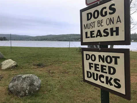 139 Pageant Park Road Barton VT 05822