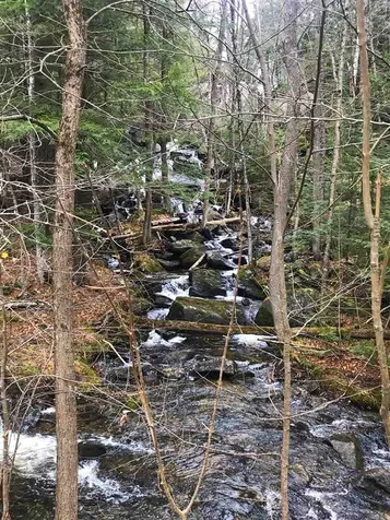 139 Pageant Park Road Barton VT 05822