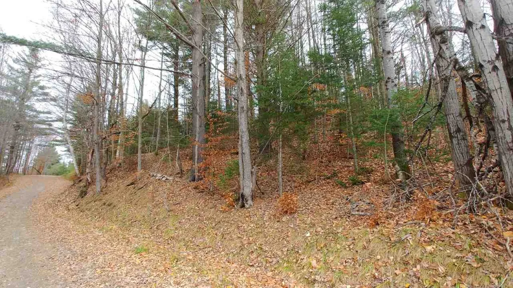 0 Taylor Road Roxbury VT 05663