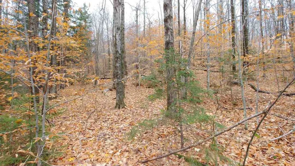 0 Taylor Road Roxbury VT 05663