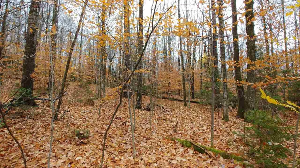 0 Taylor Road Roxbury VT 05663