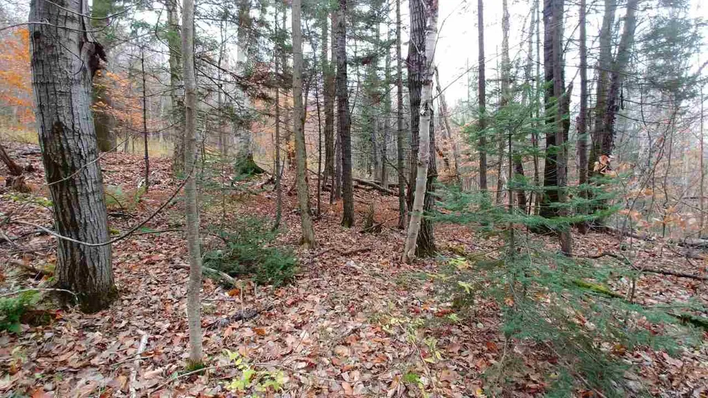 0 Taylor Road Roxbury VT 05663