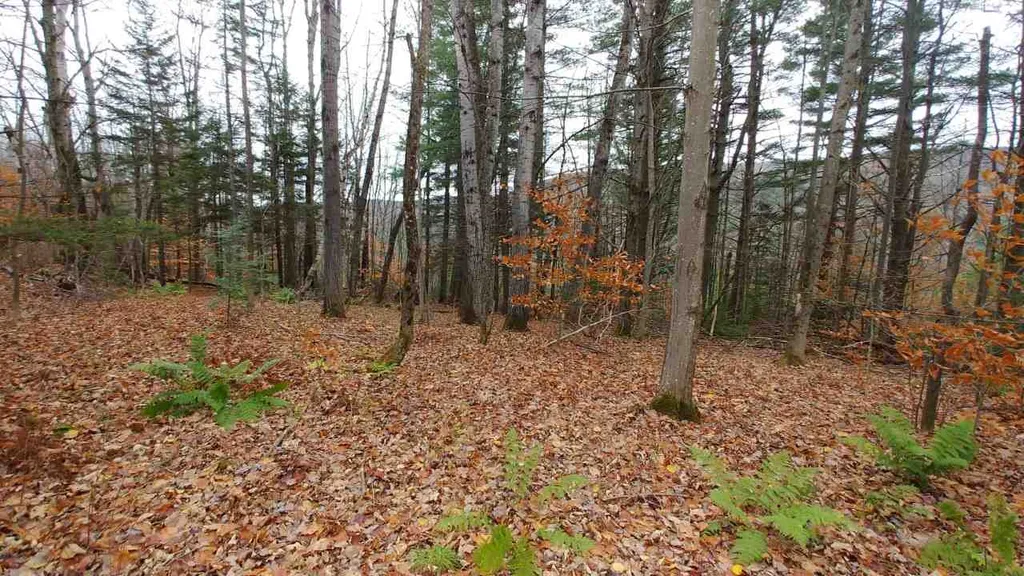 0 Taylor Road Roxbury VT 05663