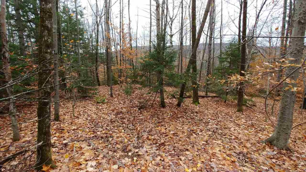 0 Taylor Road Roxbury VT 05663