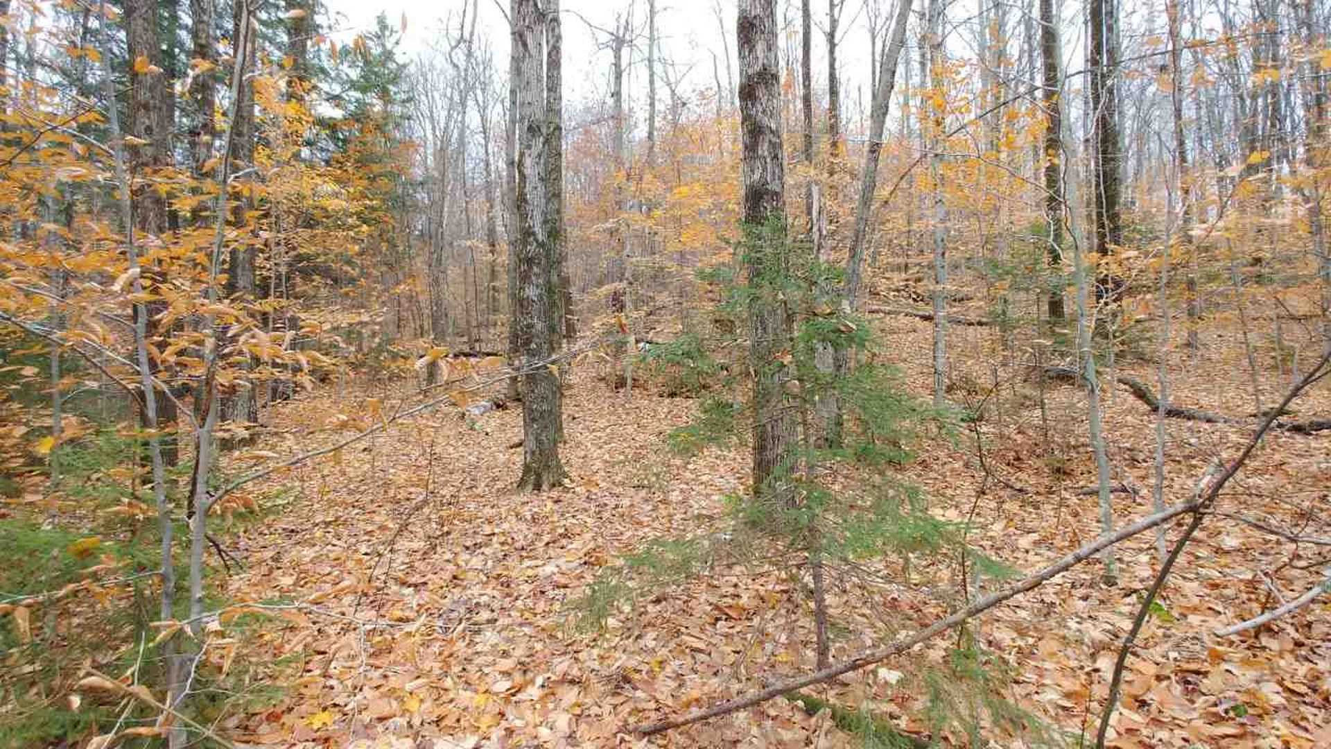 0 Taylor Road Roxbury VT 05663