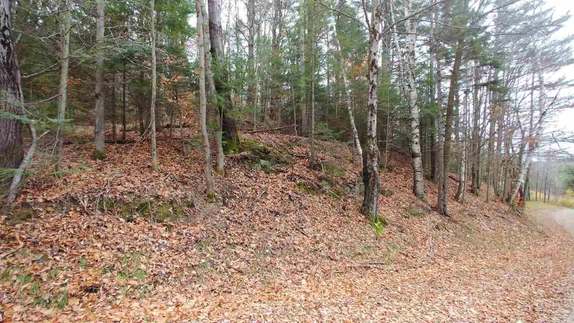 0 Taylor Road Roxbury VT 05663