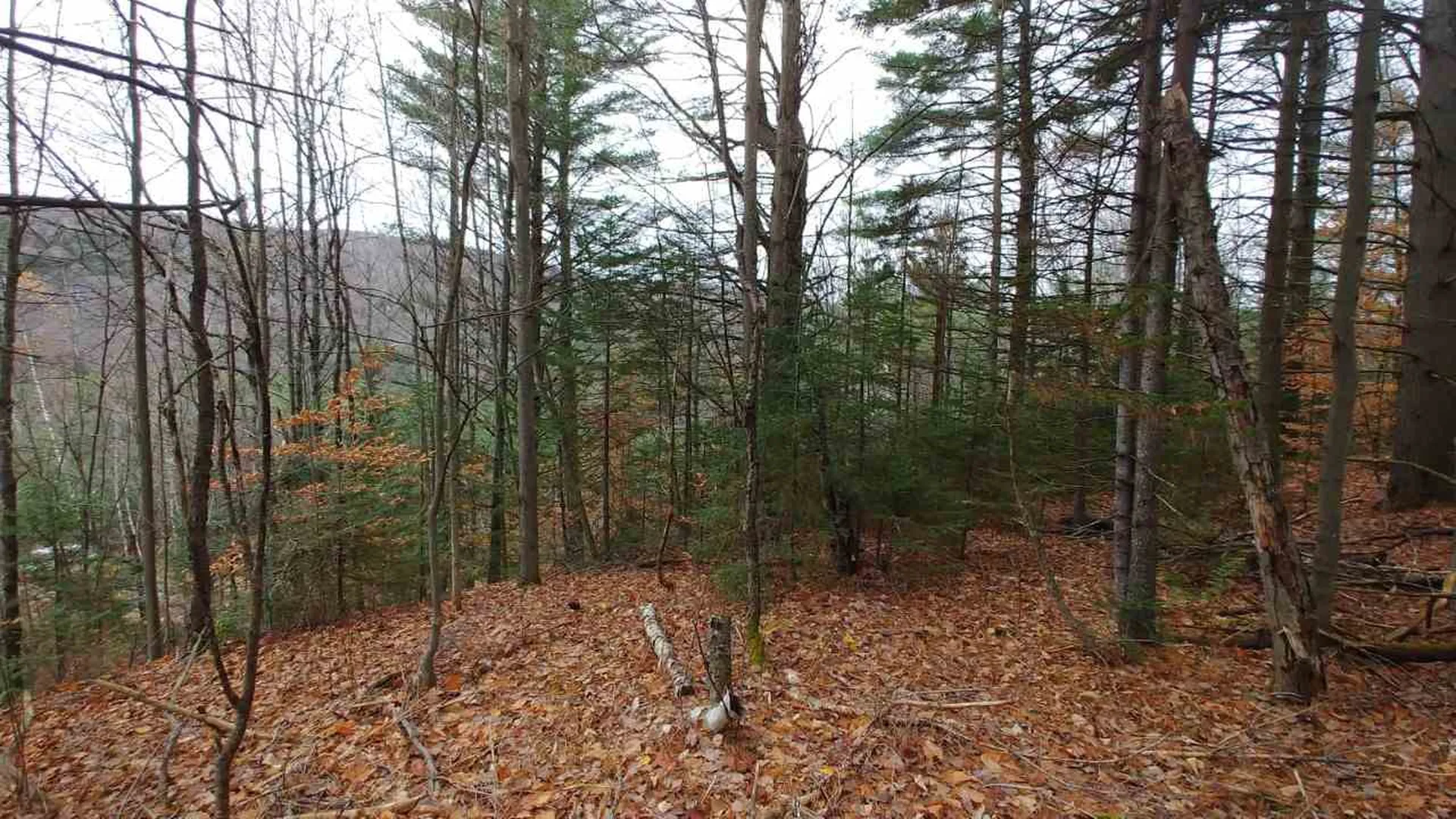 0 Taylor Road Roxbury VT 05663
