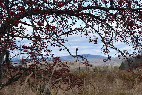 13 Baird Road Barton VT 05822