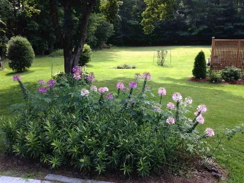 30 Portsmouth Street Concord NH 03301