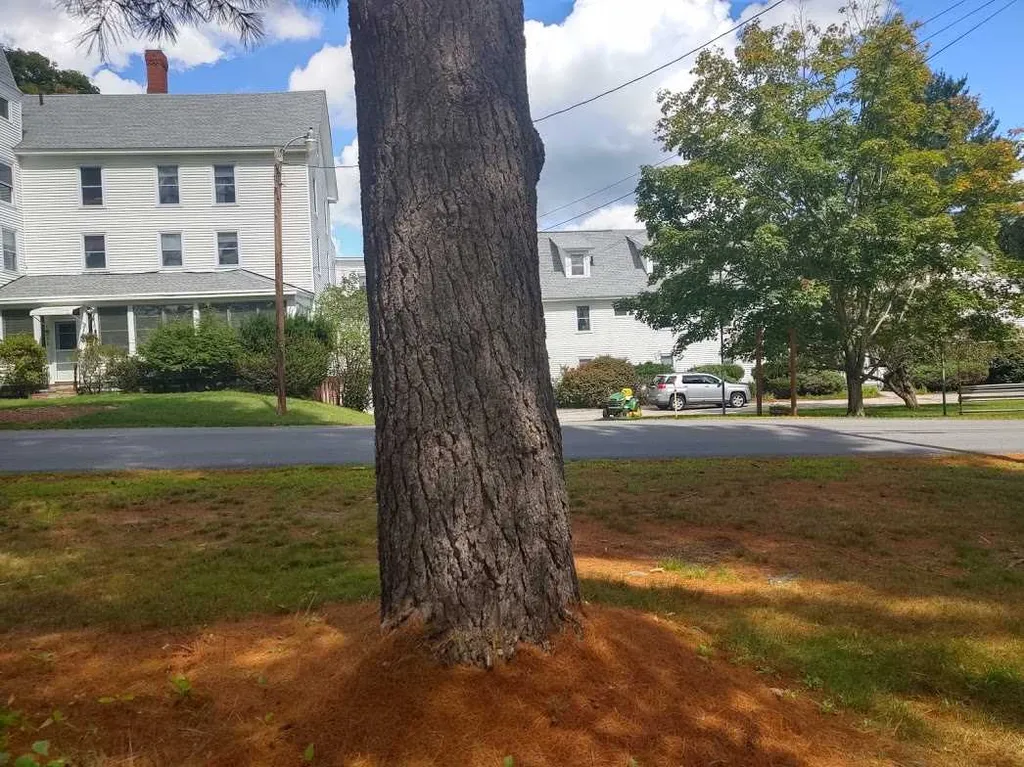 96 Fairview Drive Pittsfield NH 03263