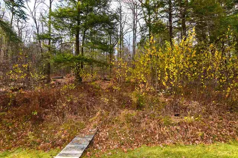 35 Hoyt Lane Springfield NH 03284