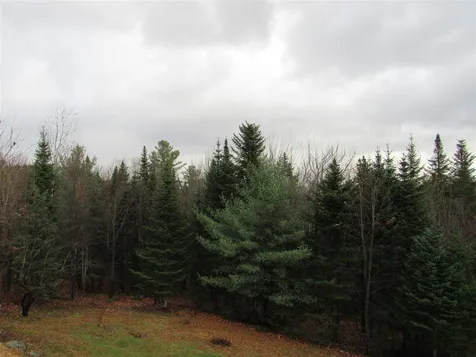 35 Jodrie Lane Milan NH 03588