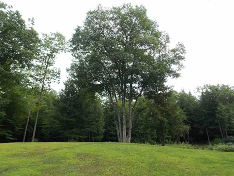 9 Borough Road Hill NH 03243