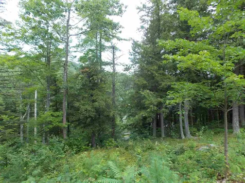 9 Borough Road Hill NH 03243