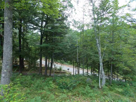9 Borough Road Hill NH 03243