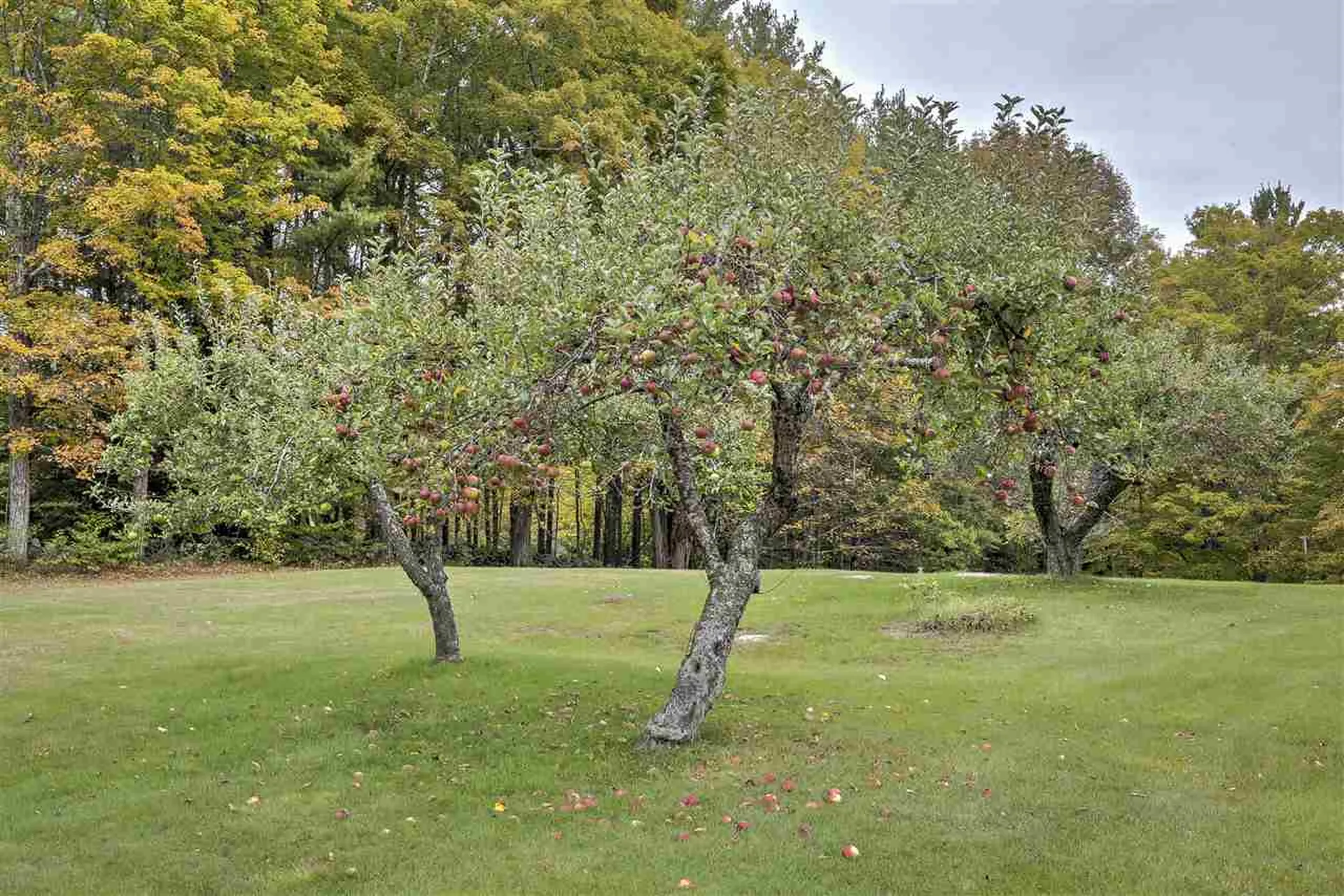 147 Winch Hill Road Swanzey NH 03446