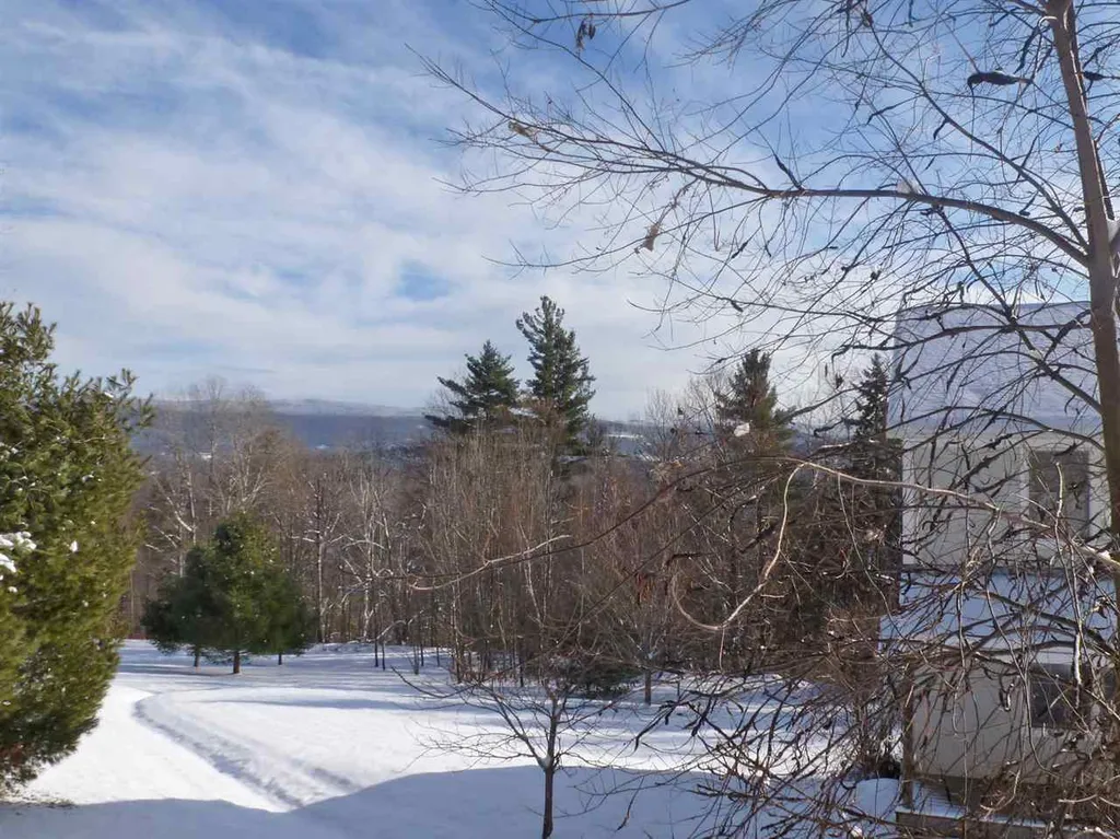 165 Morningstar Drive Warren VT 05674