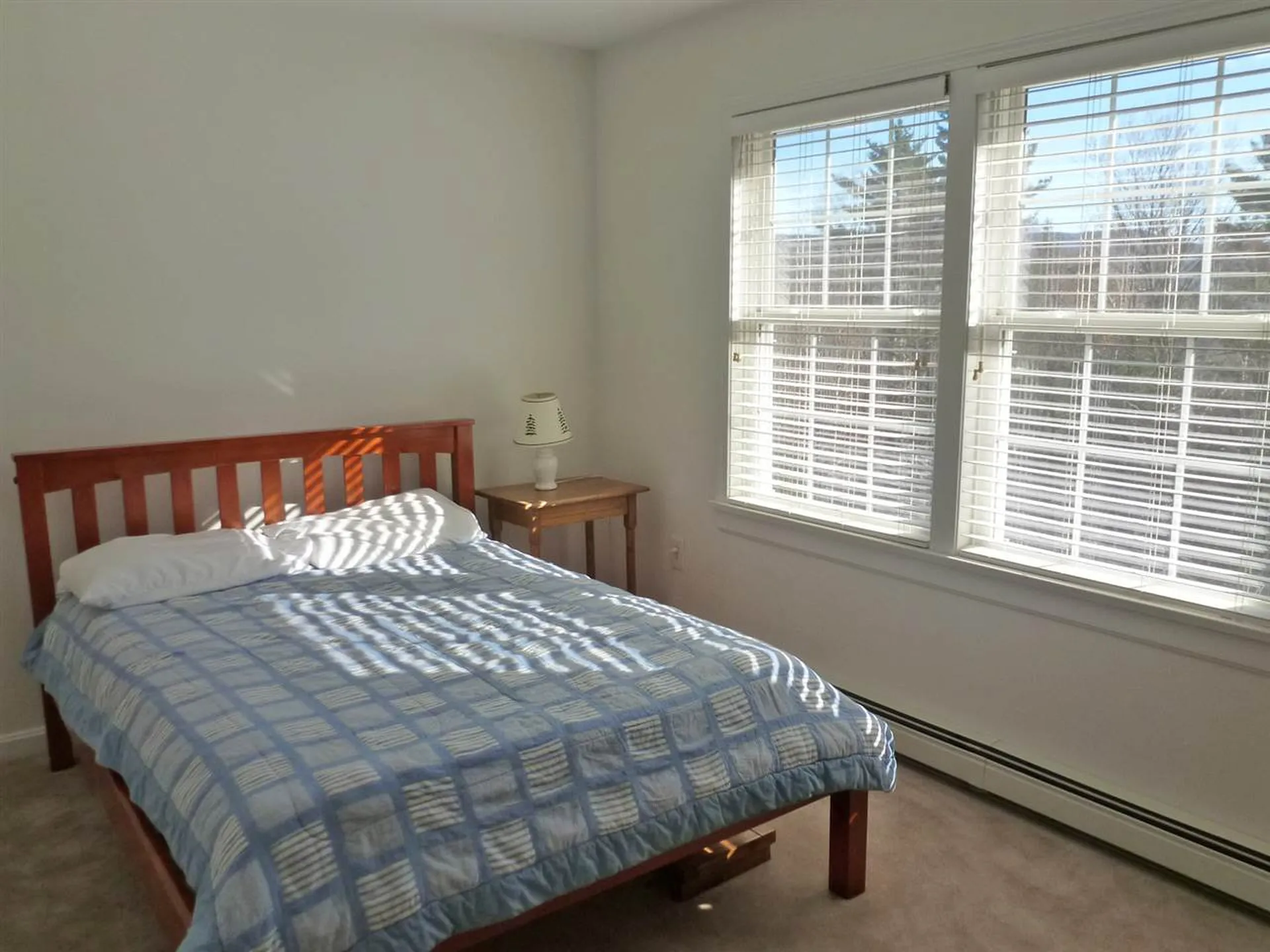 165 Morningstar Drive Warren VT 05674