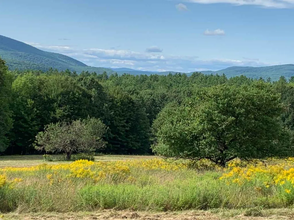 Sawyer Hill Road Canaan NH 03741