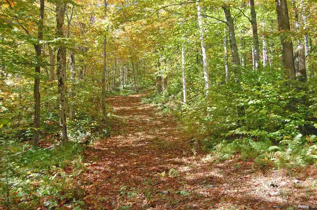 3 Lincoln Ridge Road Warren VT 05674