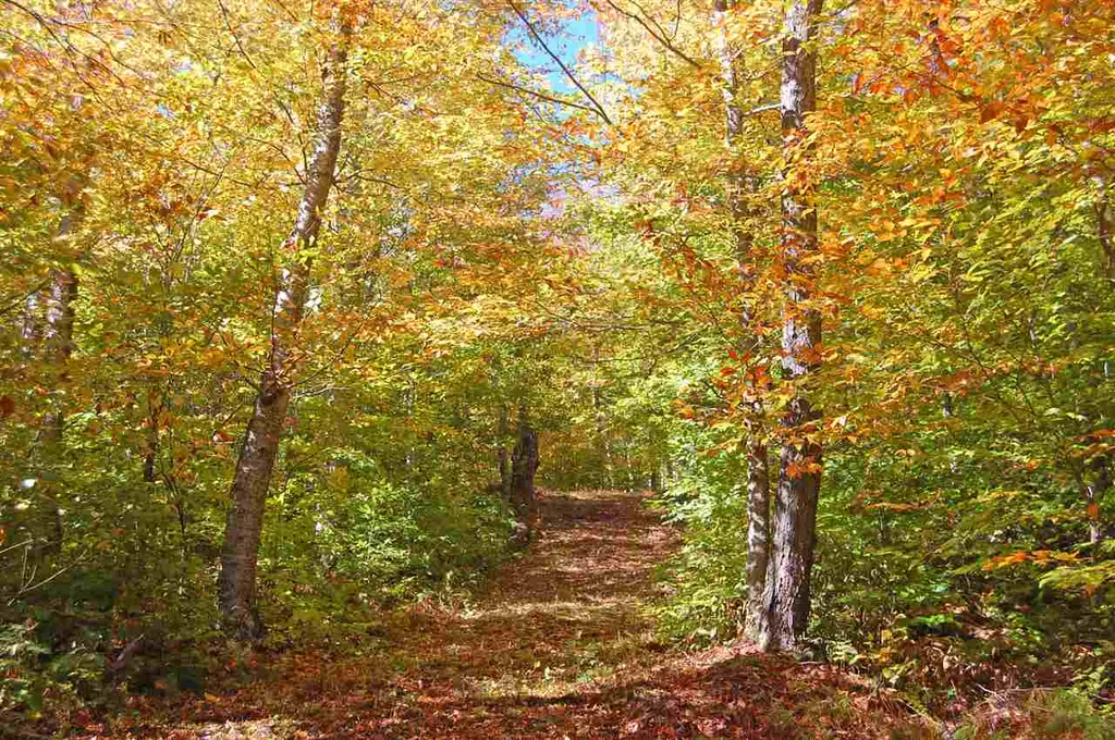 3 Lincoln Ridge Road Warren VT 05674
