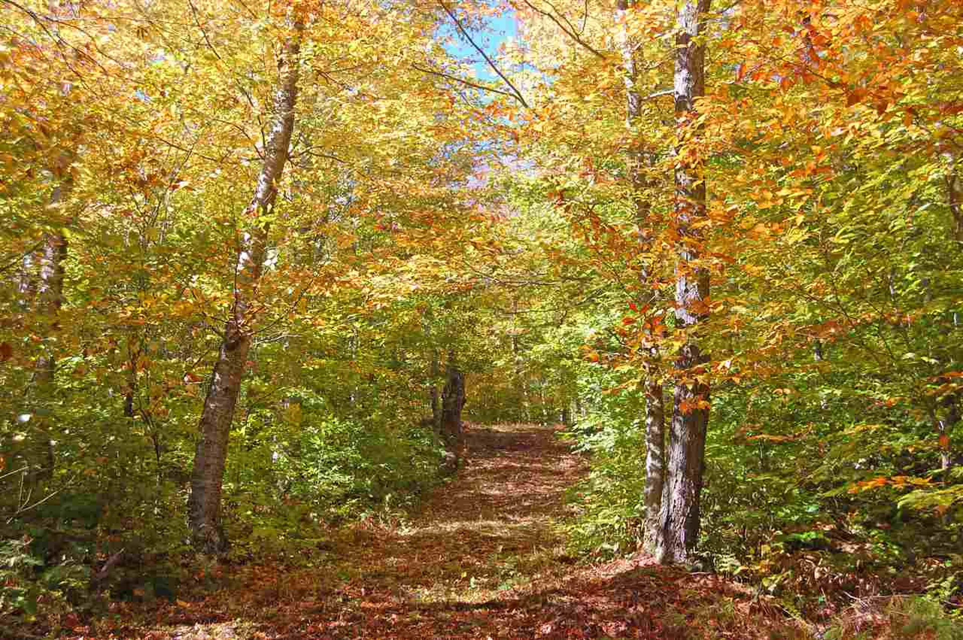 3 Lincoln Ridge Road Warren VT 05674