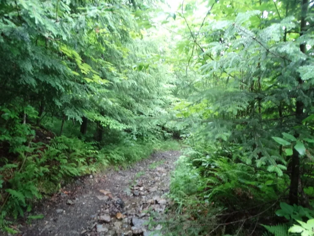 0 Bousquet Road Lowell VT 05847