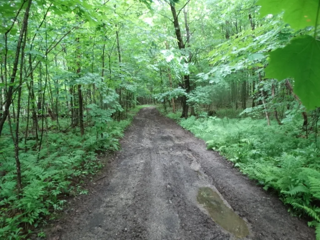 0 Bousquet Road Lowell VT 05847