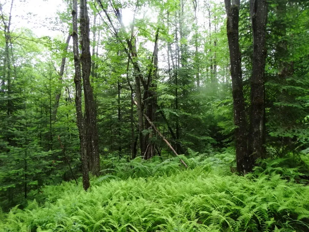 0 Bousquet Road Lowell VT 05847