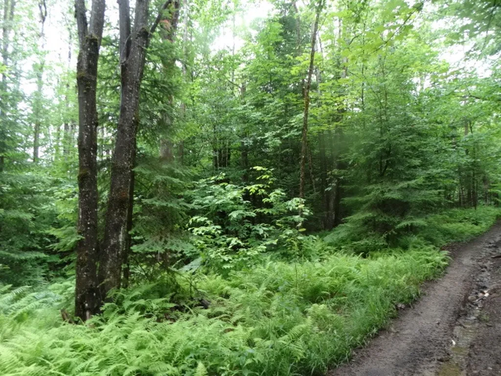 0 Bousquet Road Lowell VT 05847