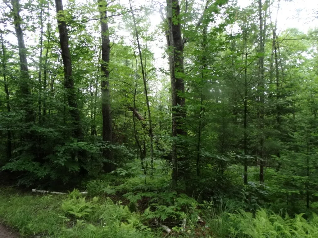 0 Bousquet Road Lowell VT 05847