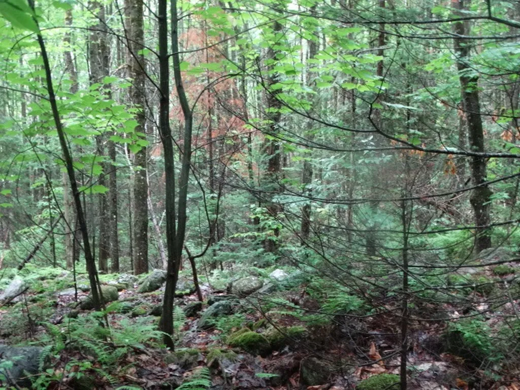 0 Bousquet Road Lowell VT 05847