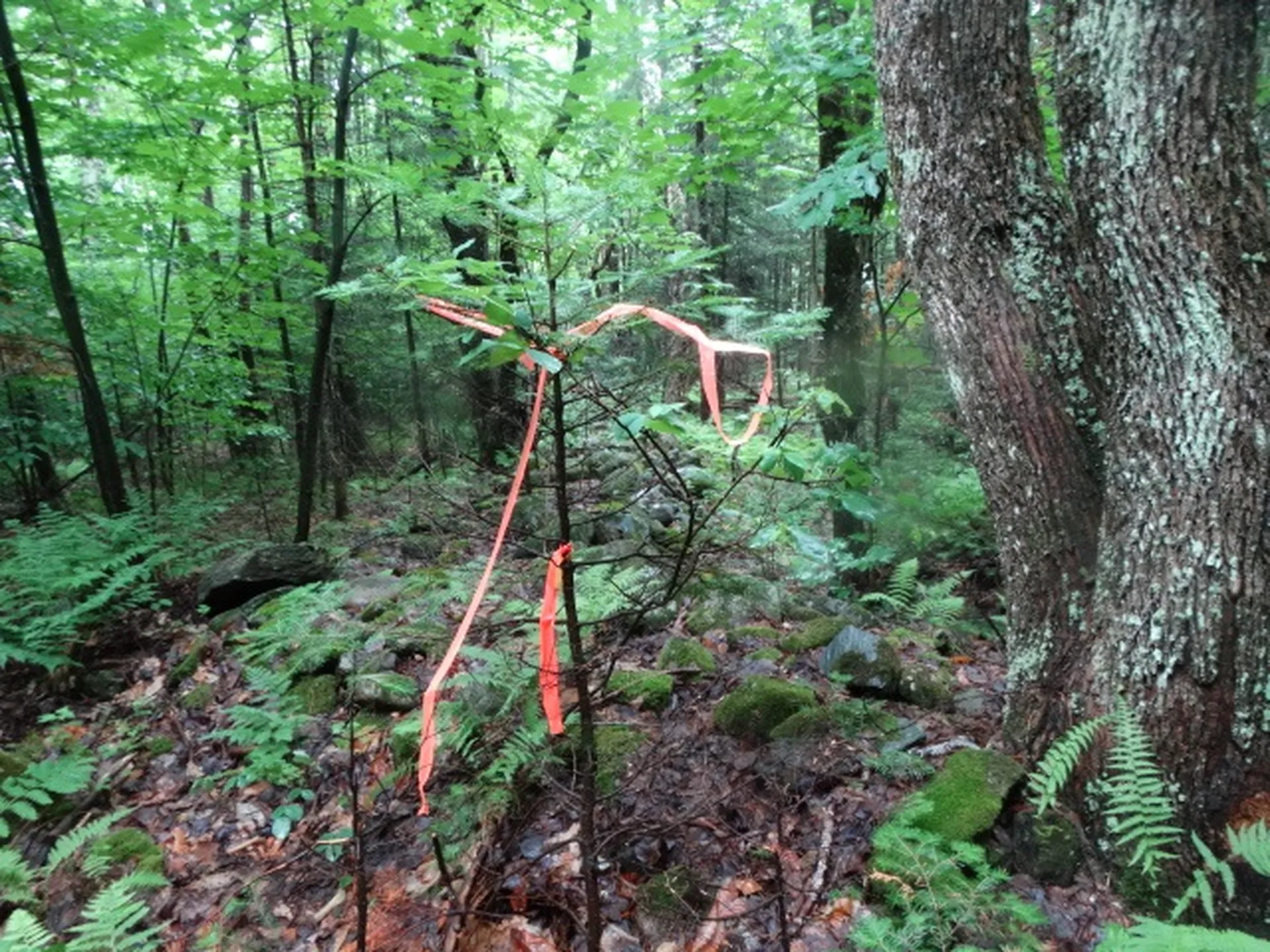 0 Bousquet Road Lowell VT 05847