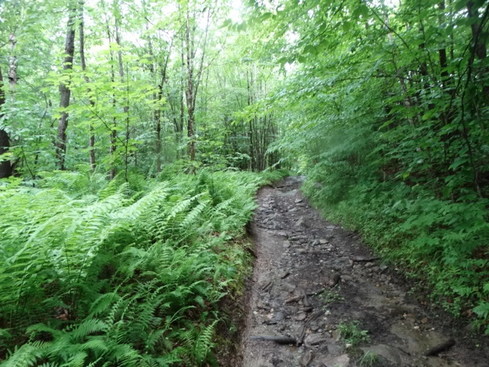 0 Bousquet Road Lowell VT 05847
